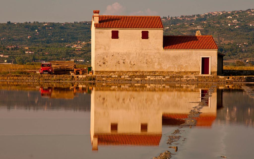 Hostel Piran Dış mekan fotoğraf